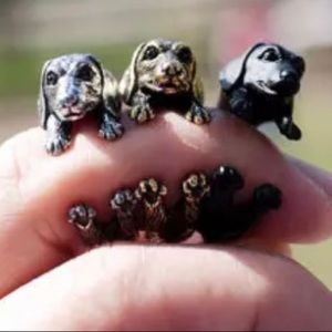 3/$15 Dachshund doxie lovers ring antique silver color